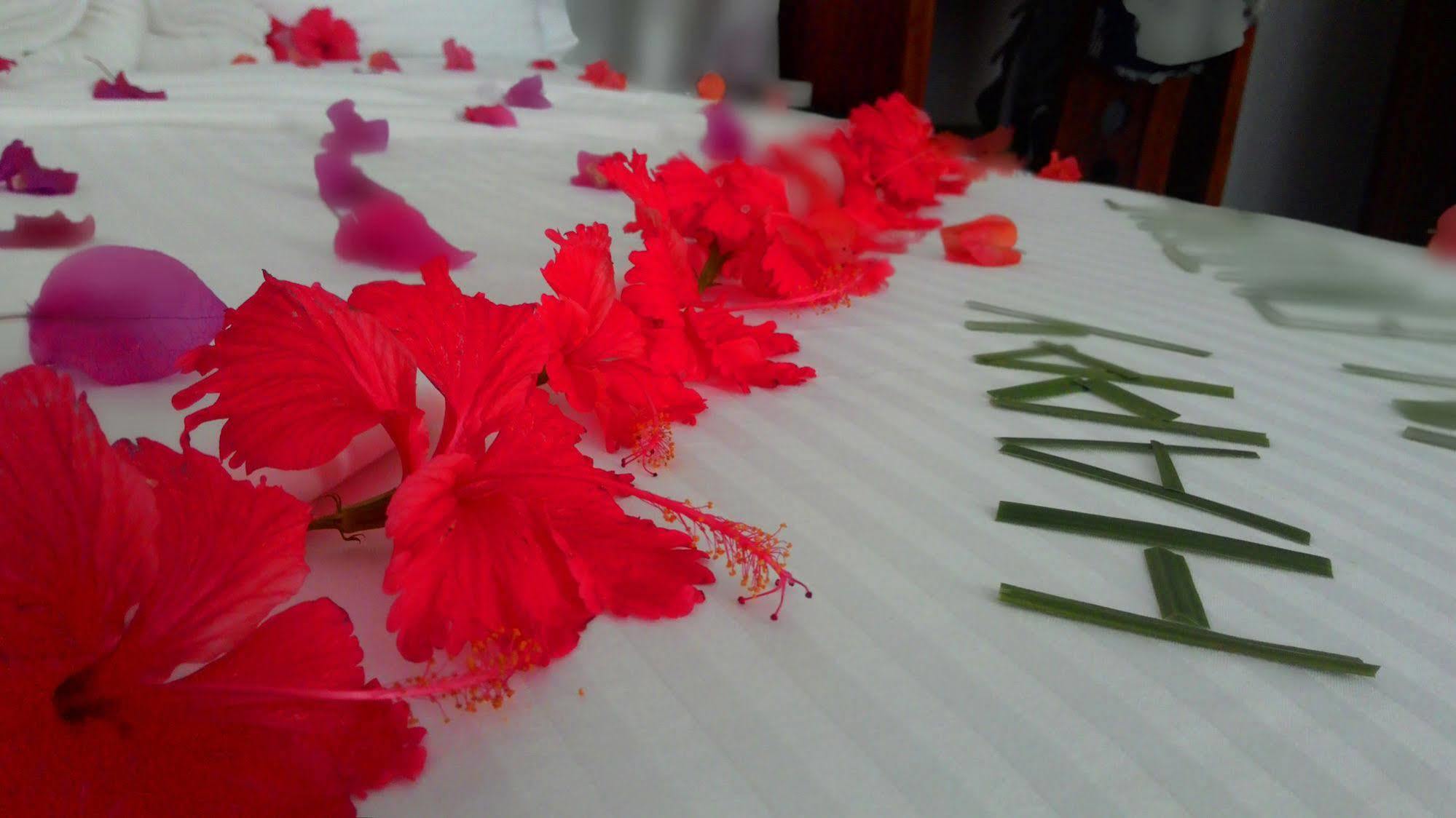 Sole Luna Resort&spa 4* Tangalle