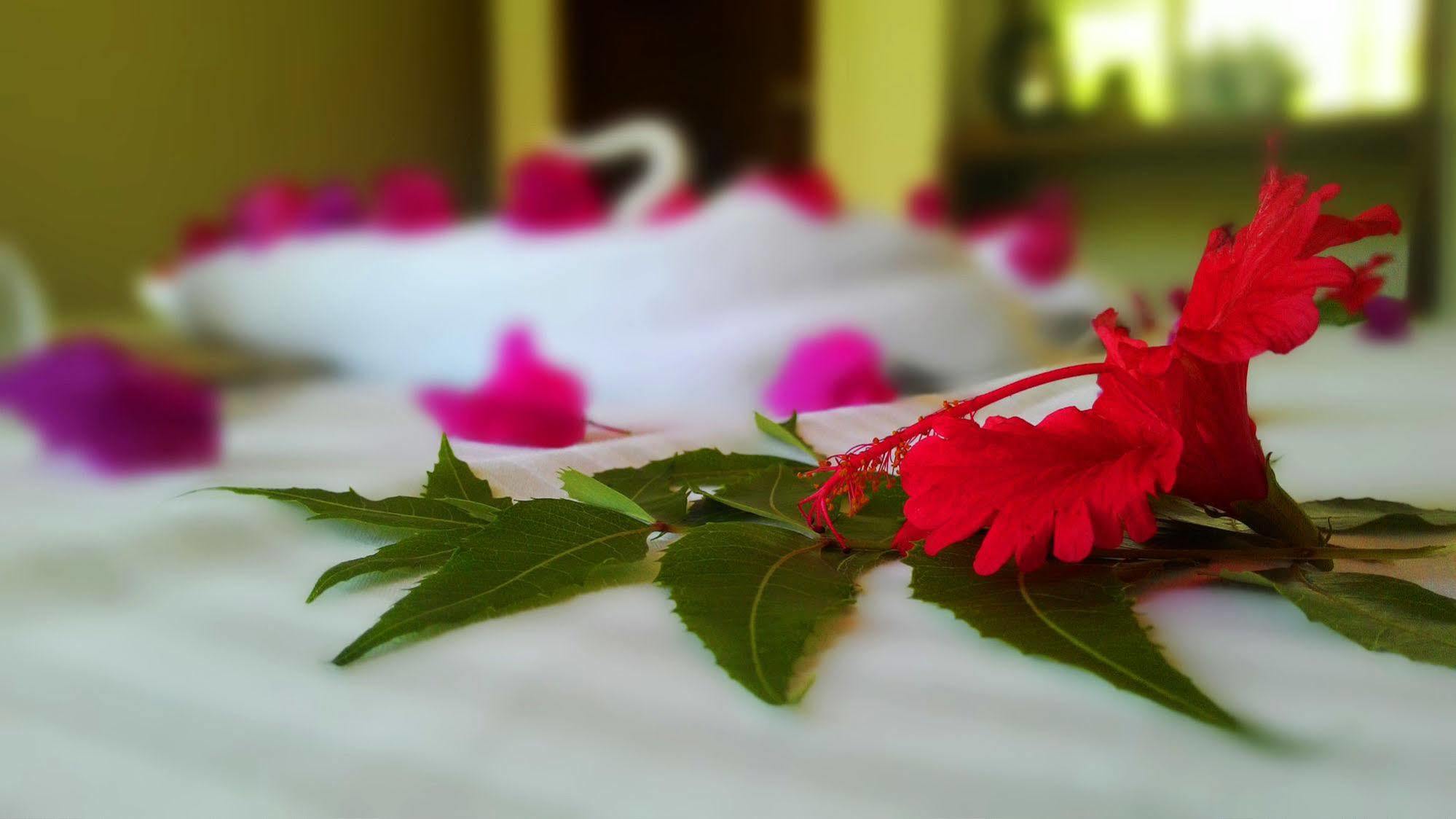 Sole Luna Resort&spa 4* Tangalle